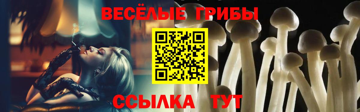 Энгельс  Псилоцибиновые грибы ЛСД  Галлюциногенные грибы ЛСД  Вход с VPN 